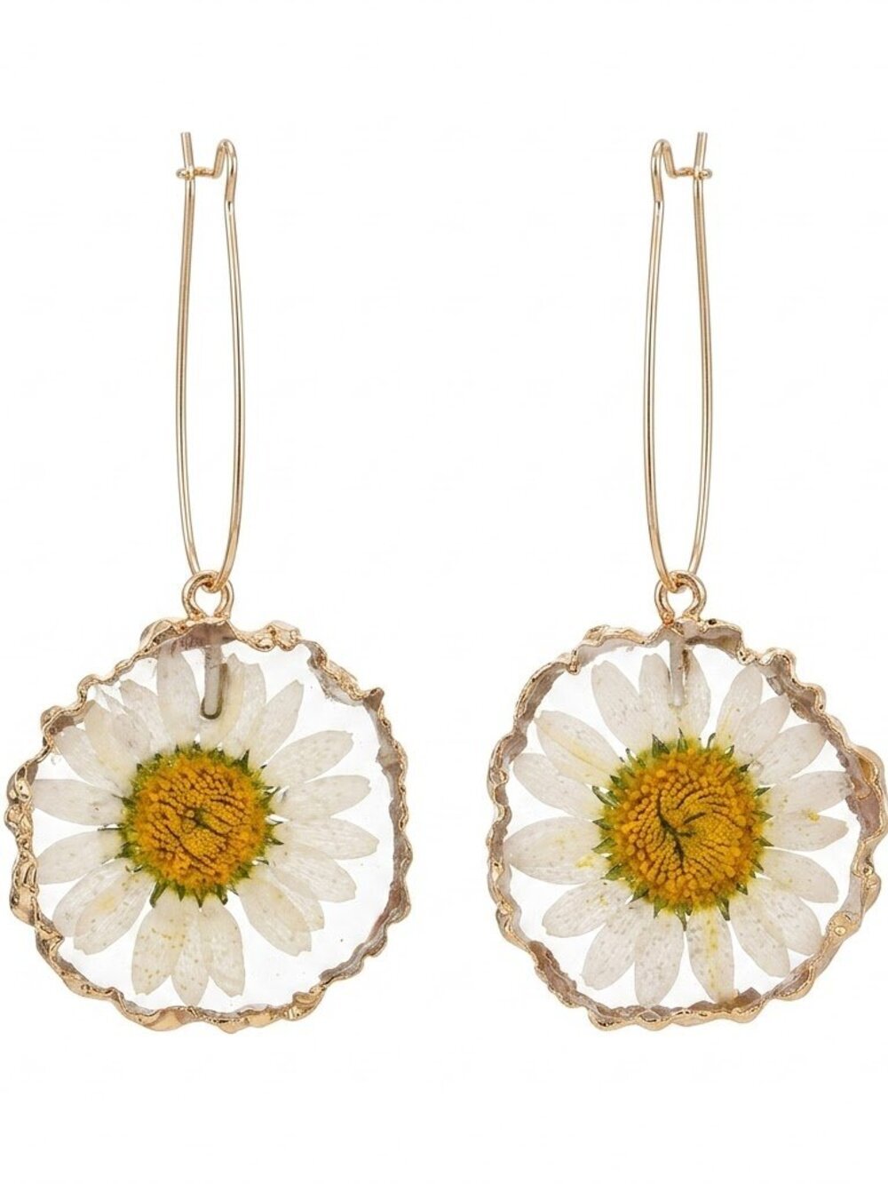 🆕️Real Preserved Daisy Flower Resin Earrings Gold Hoop Botanical Statement Dain